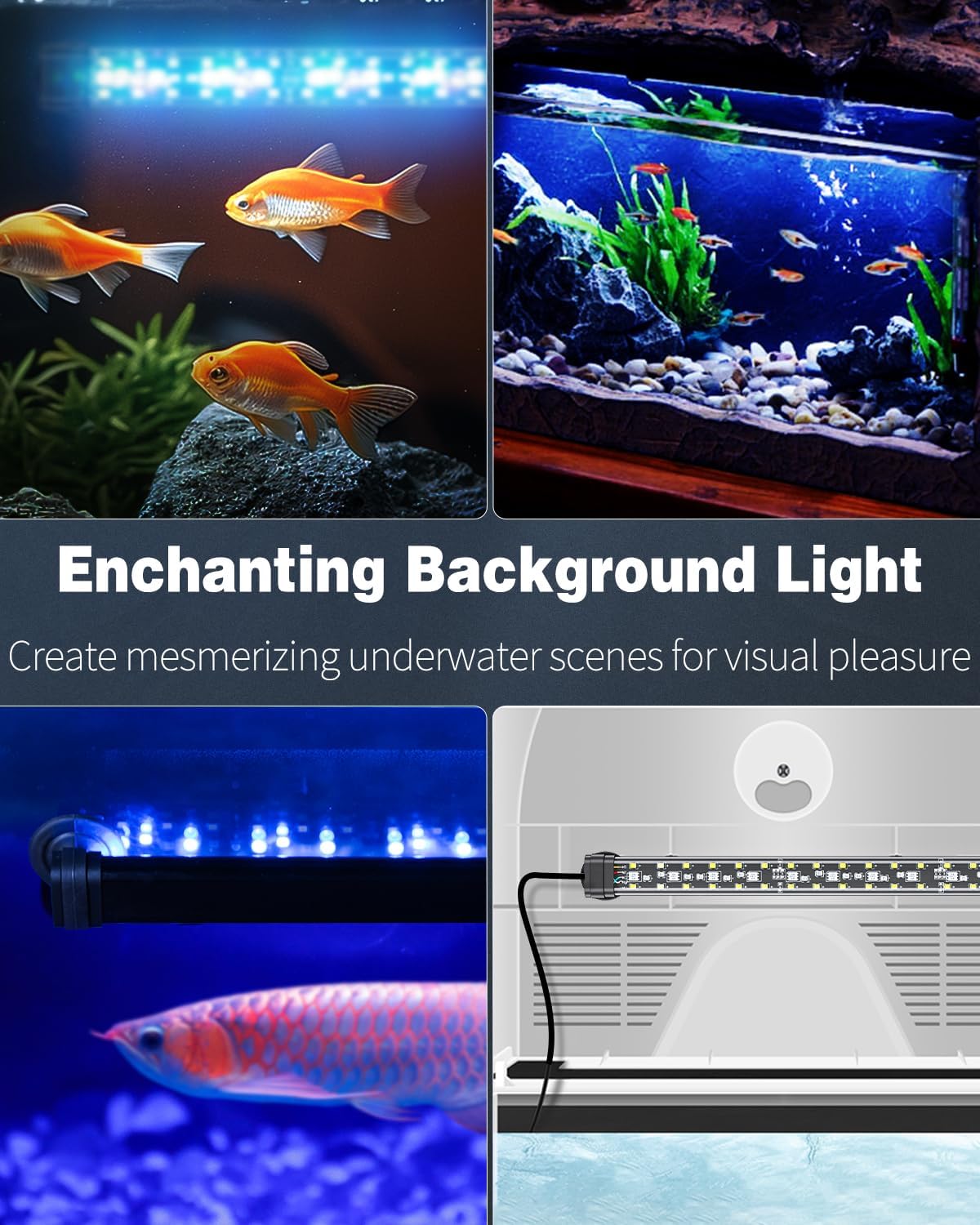 Thumbnail 6 de Pawfly 50 cm Aquarium LED Light: Full Spectrum, 24/7 Illumination with D/N & DIY Modes