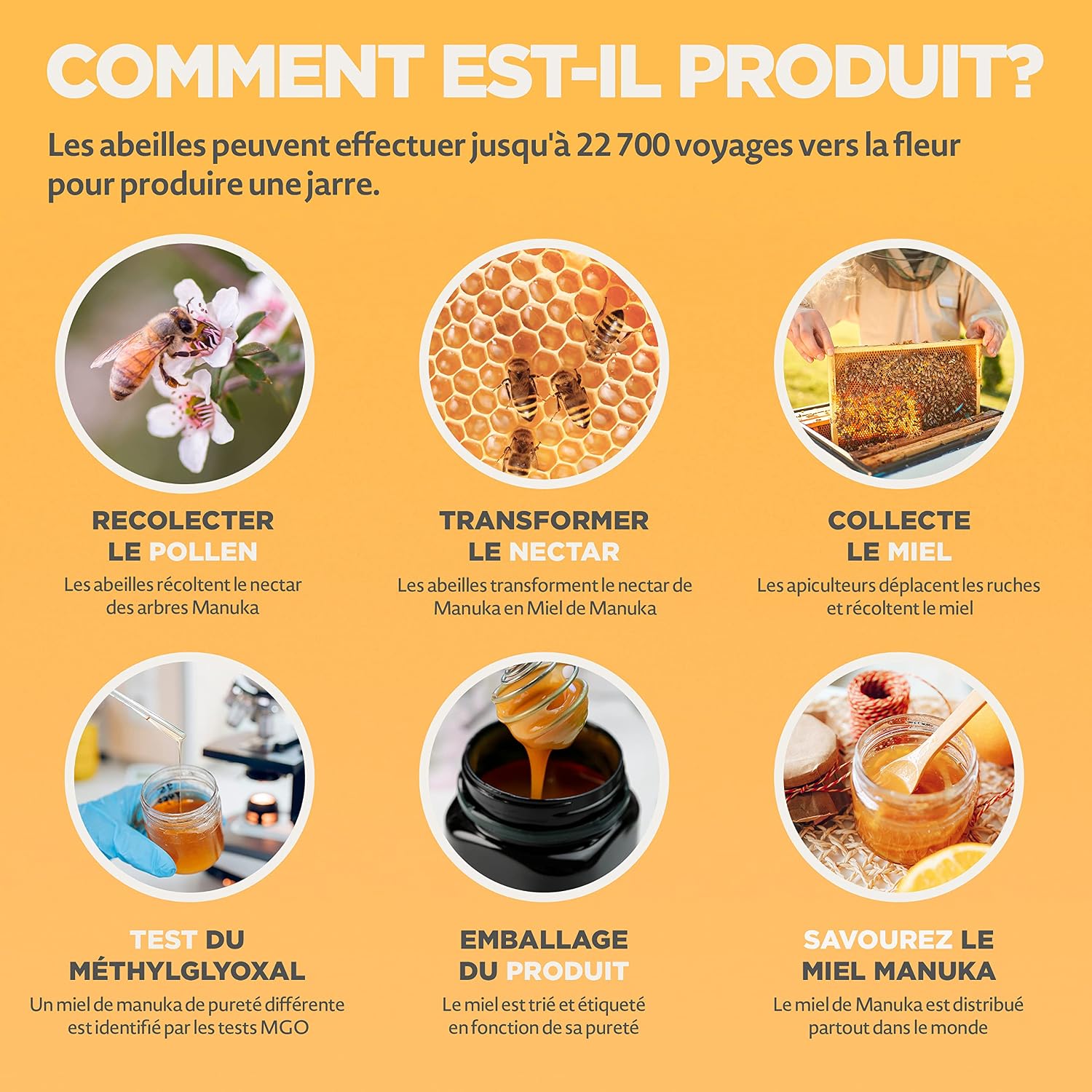 Thumbnail 6 de NaturalePiù Miel de Manuka 100+ MGO, 500 g bio brut de Nouvelle-Zélande