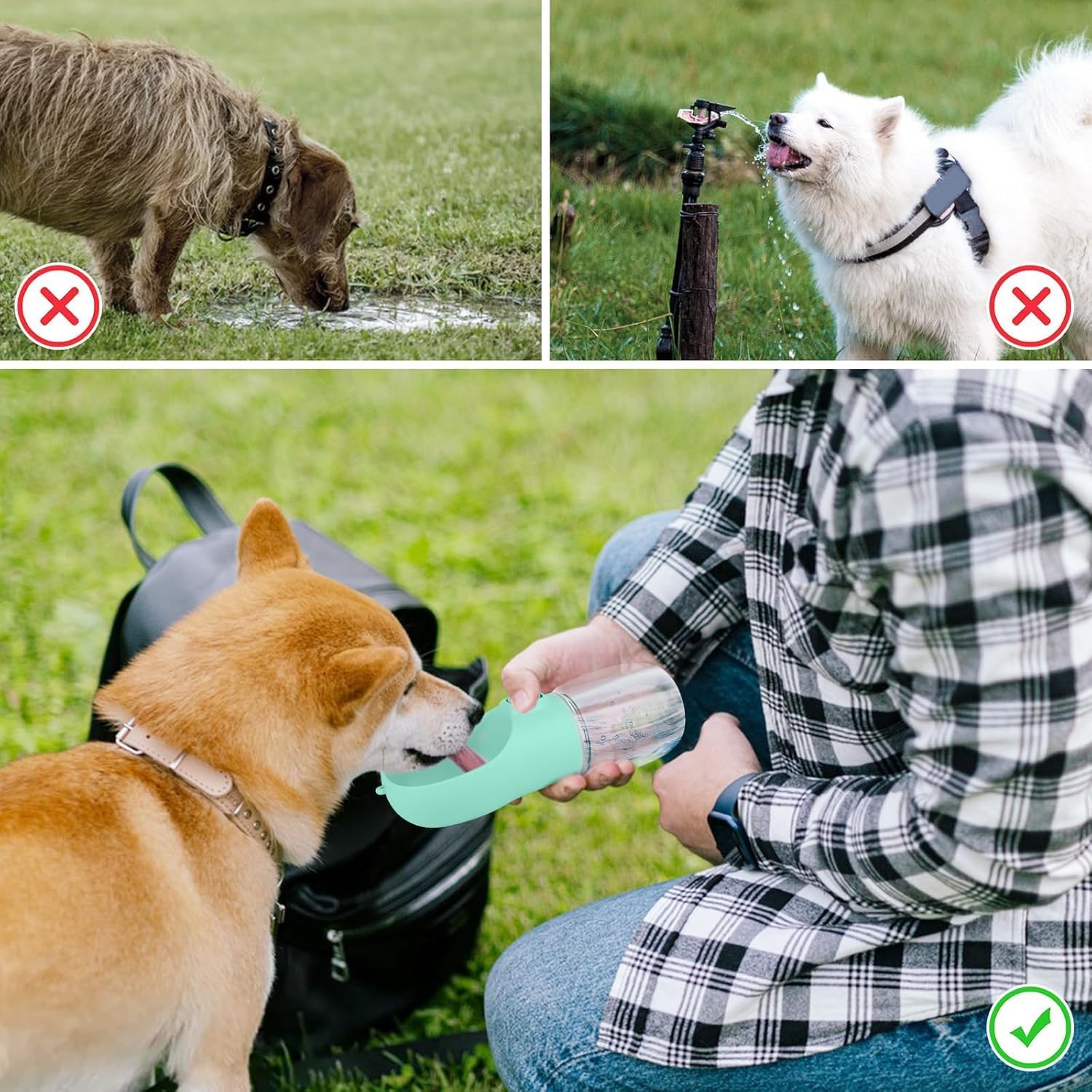 Detalle de Gourde Chien Promenade 350ml — Bouteille d'eau portable pour chien (Vert)