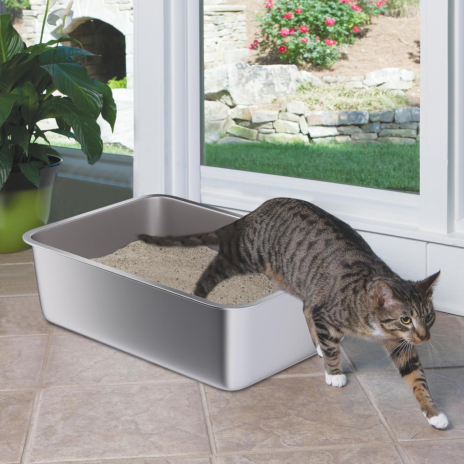 Detalle de Holintan Litter Box, Large Stainless Steel Cat Pan, 19.7 x 13.7 x 6 in