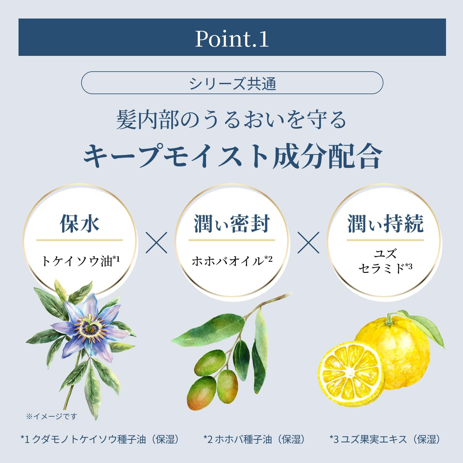 Detalle de タイムユー キープモイスト シャンプー詰め替え用 300ml アミノ酸系洗浄成分・クリアフルールの香り