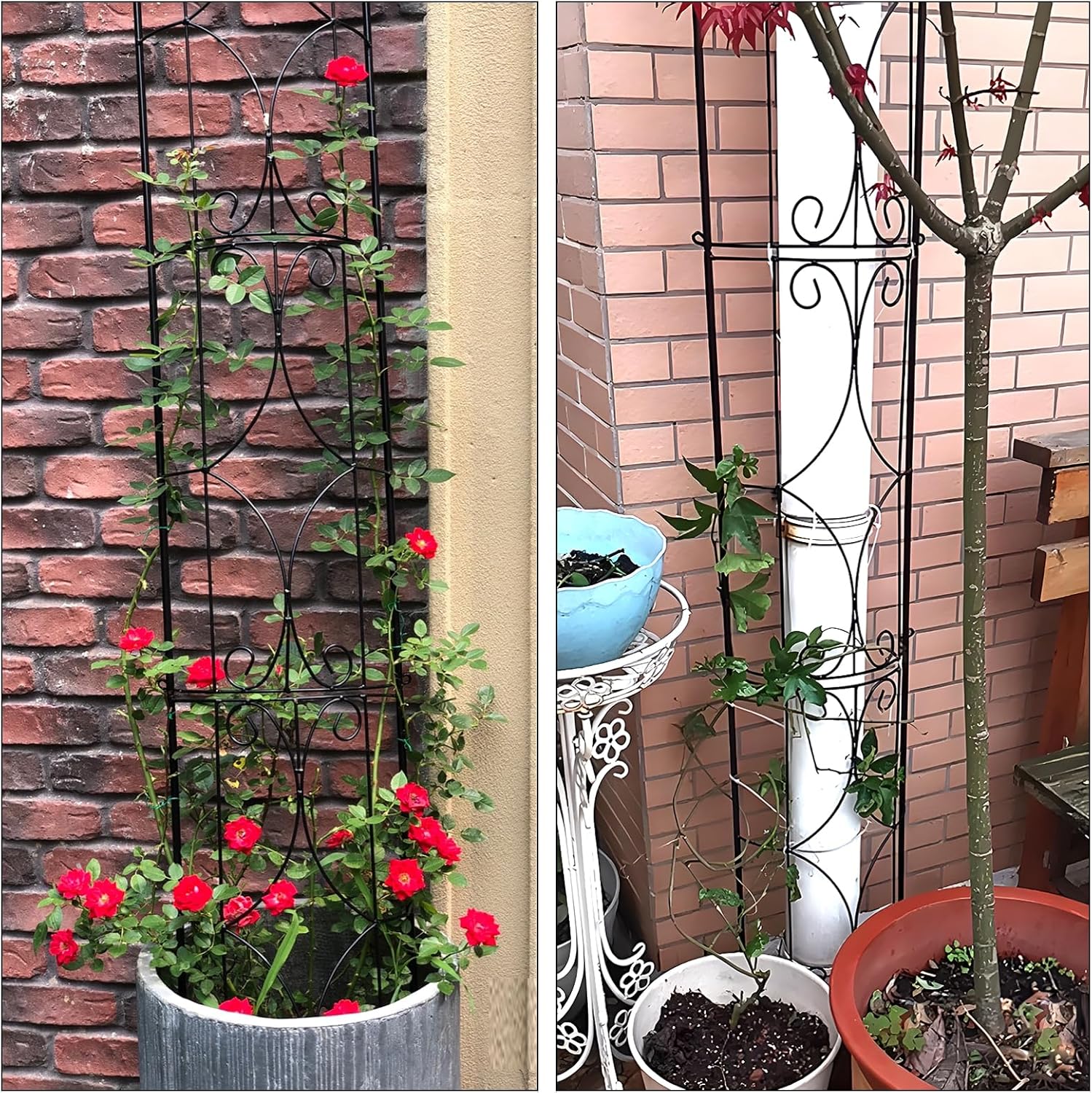 Thumbnail 6 de Thealyn Garden Trellis 182 cm for climbing plants