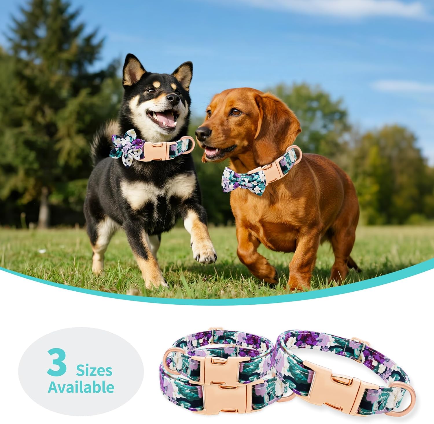 Thumbnail 6 de Dote on Dog Collar and Lead Set Deep Purple XS