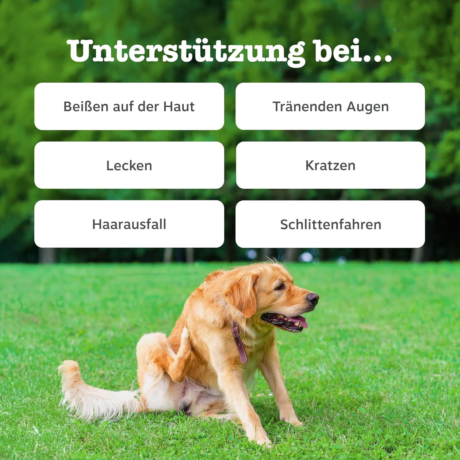 Detalle de Zesty Paws Allergie & Immunität Chews – Nahrungsergänzung für Hunde (90 STK)