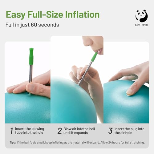 Detalle 2 de Slim Panda Pelota de Pilates 23 cm