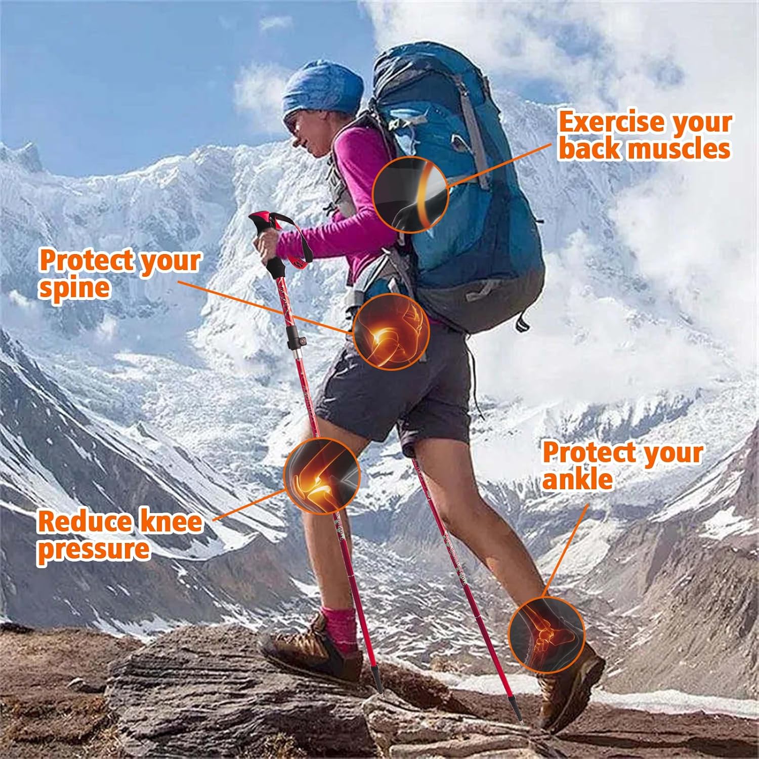 Thumbnail 4 de Bâtons de randonnée HOVIN pliables (marche nordique, trekking et ski)