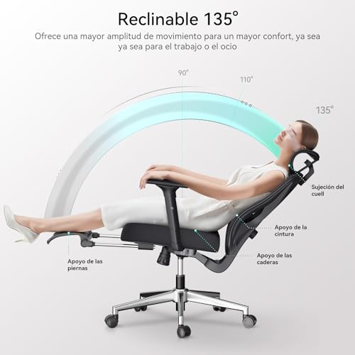 Thumbnail 5 de Hbada P5 Silla de oficina ergonómica negra con soporte lumbar ajustable, reposacabezas y reposapiés
