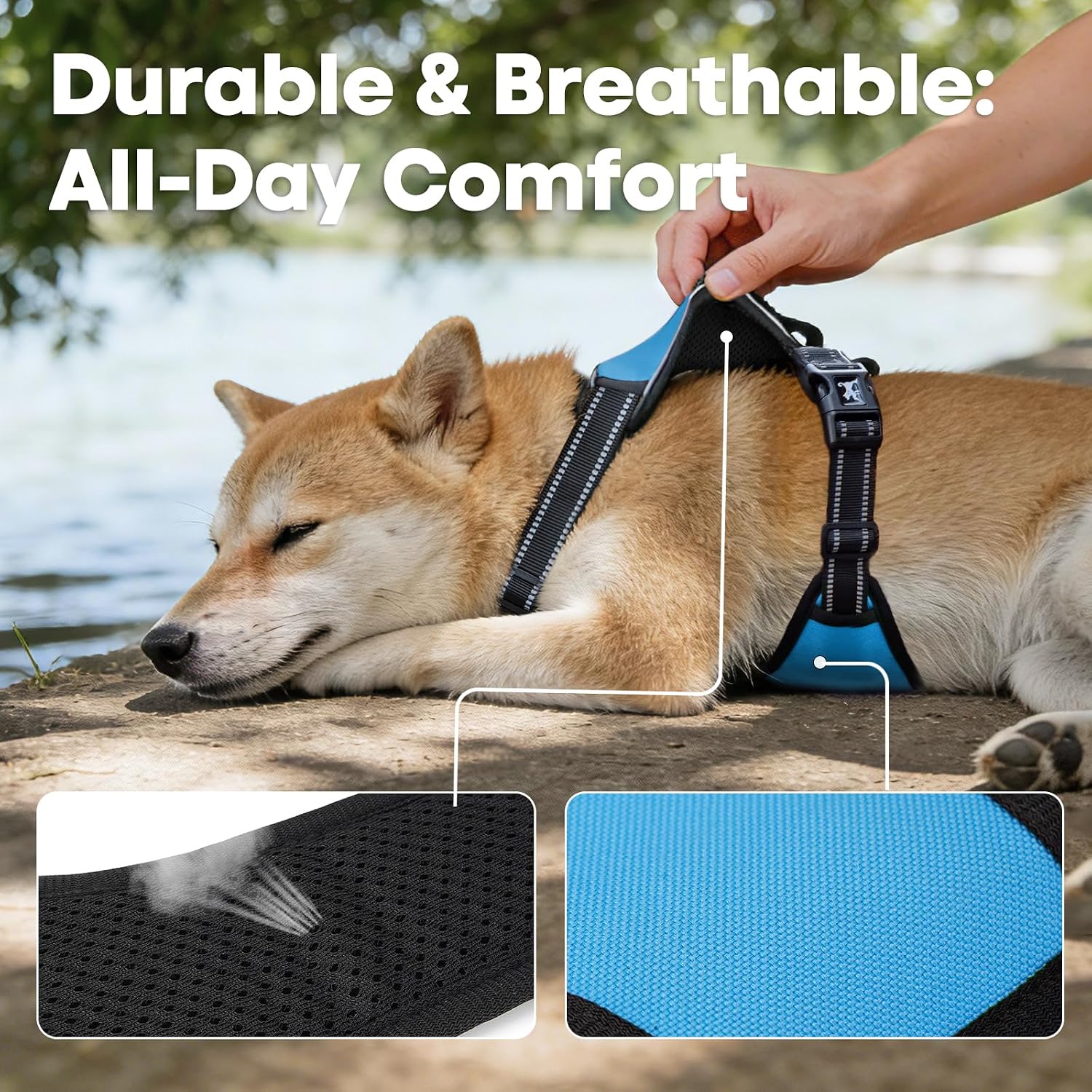 Thumbnail 6 de PoyPet No Pull Dog Harness, Reflective Vest with 2 Leash Attachments and Easy Control Handle (Blue, S)