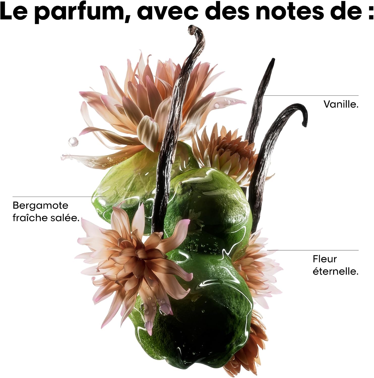 Detalle de L'Oréal Professionnel Masque Réparateur Concentré Absolut Repair Molecular – 300 ml