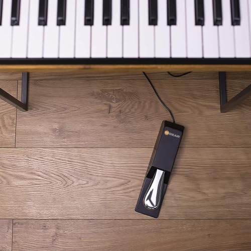 Thumbnail 2 de M-AUDIO SP-2 Universal Sustain Pedal