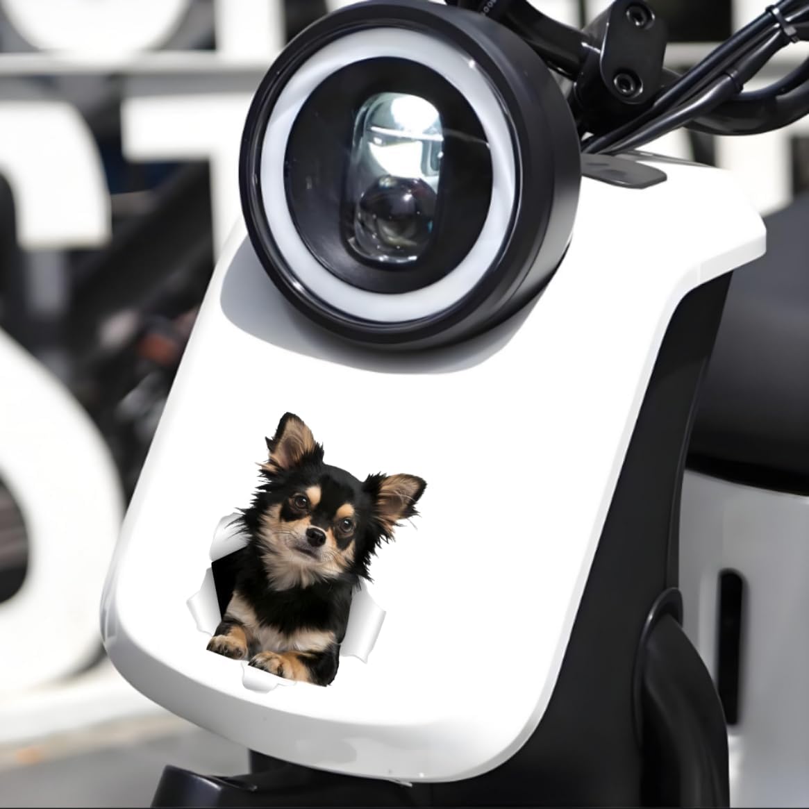 Thumbnail 5 de TIZIKJ Chihuahua Auto-Aufkleber 3D 18 cm