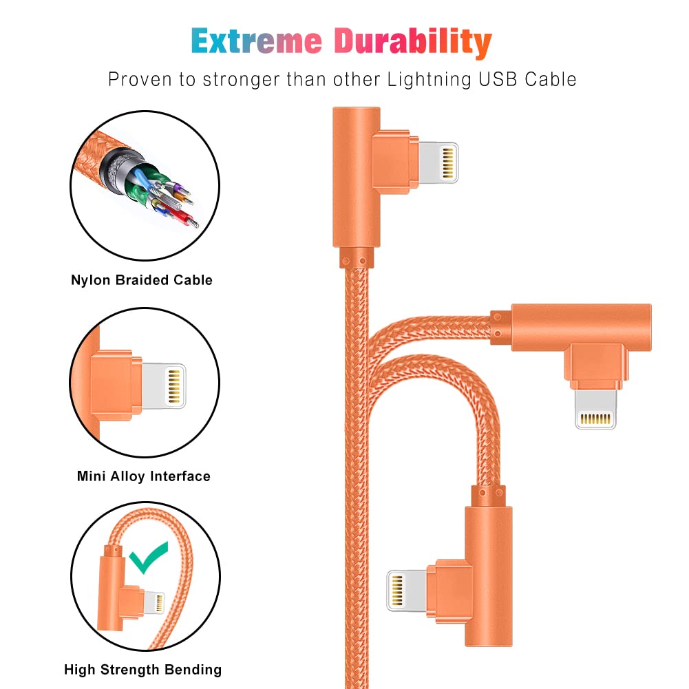 Detalle 1 de iPhone Lightning Cable 10FT