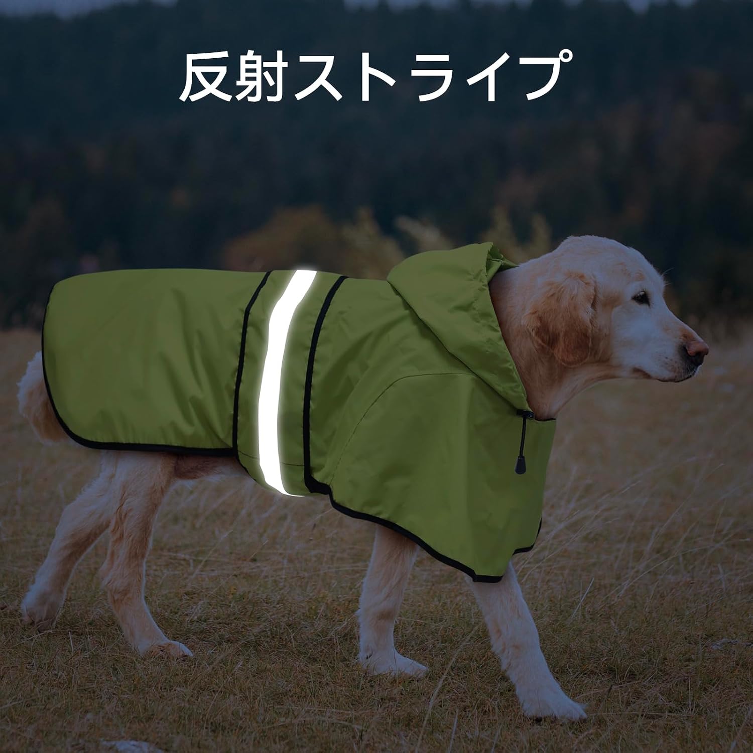 Thumbnail 3 de Dolitego Dog Raincoat, Medium