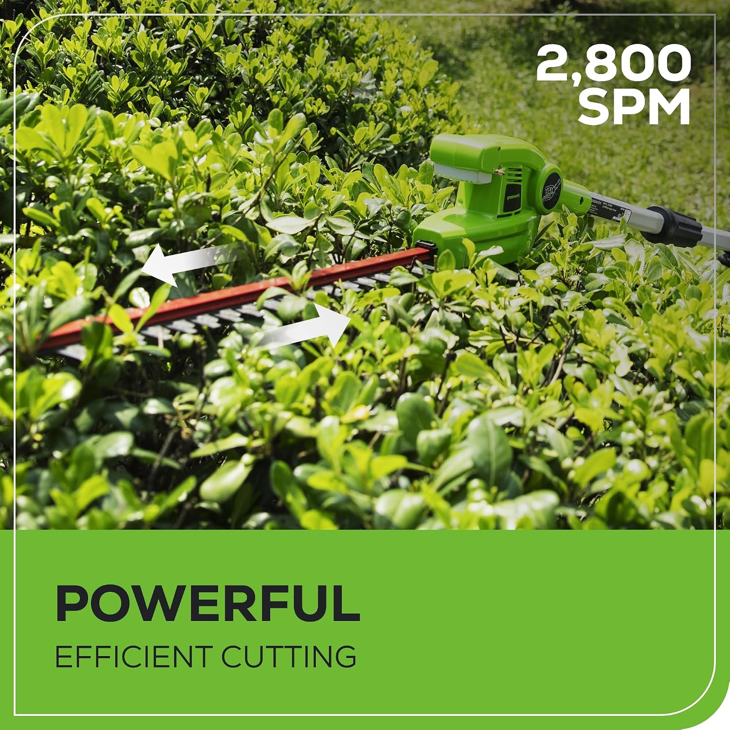Detalle 2 de Greenworks Cordless Pole Hedge Trimmer 40V
