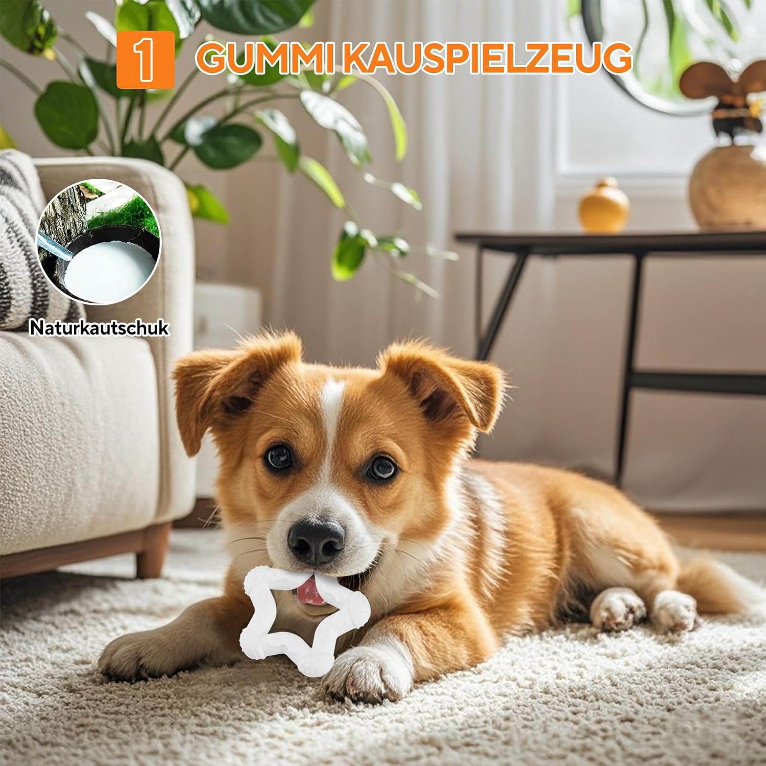 Thumbnail 4 de LIFLIX Hundespielzeug für kleine Hunde & Welpen (4-teilig) – interaktiver Kauspielzeug-Mix mit Quietschball und Kauformen