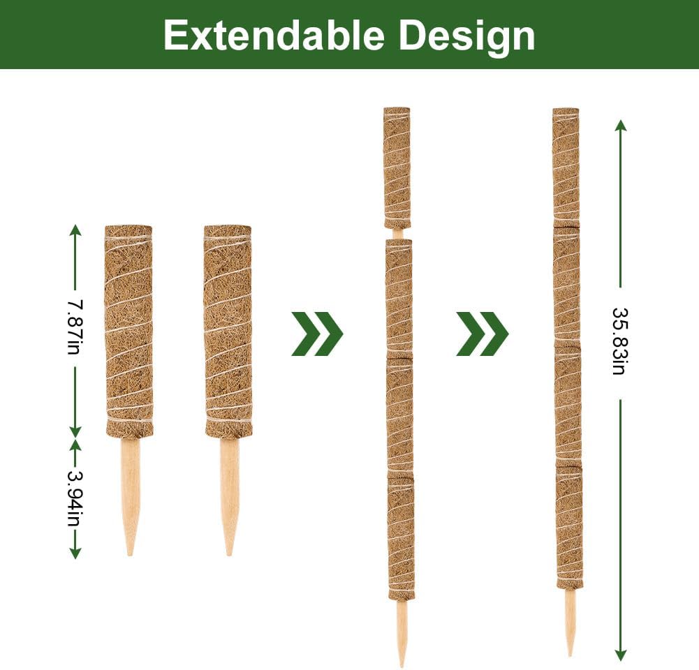 Detalle de Vicloon Moss Pole 30cm Pack of 4