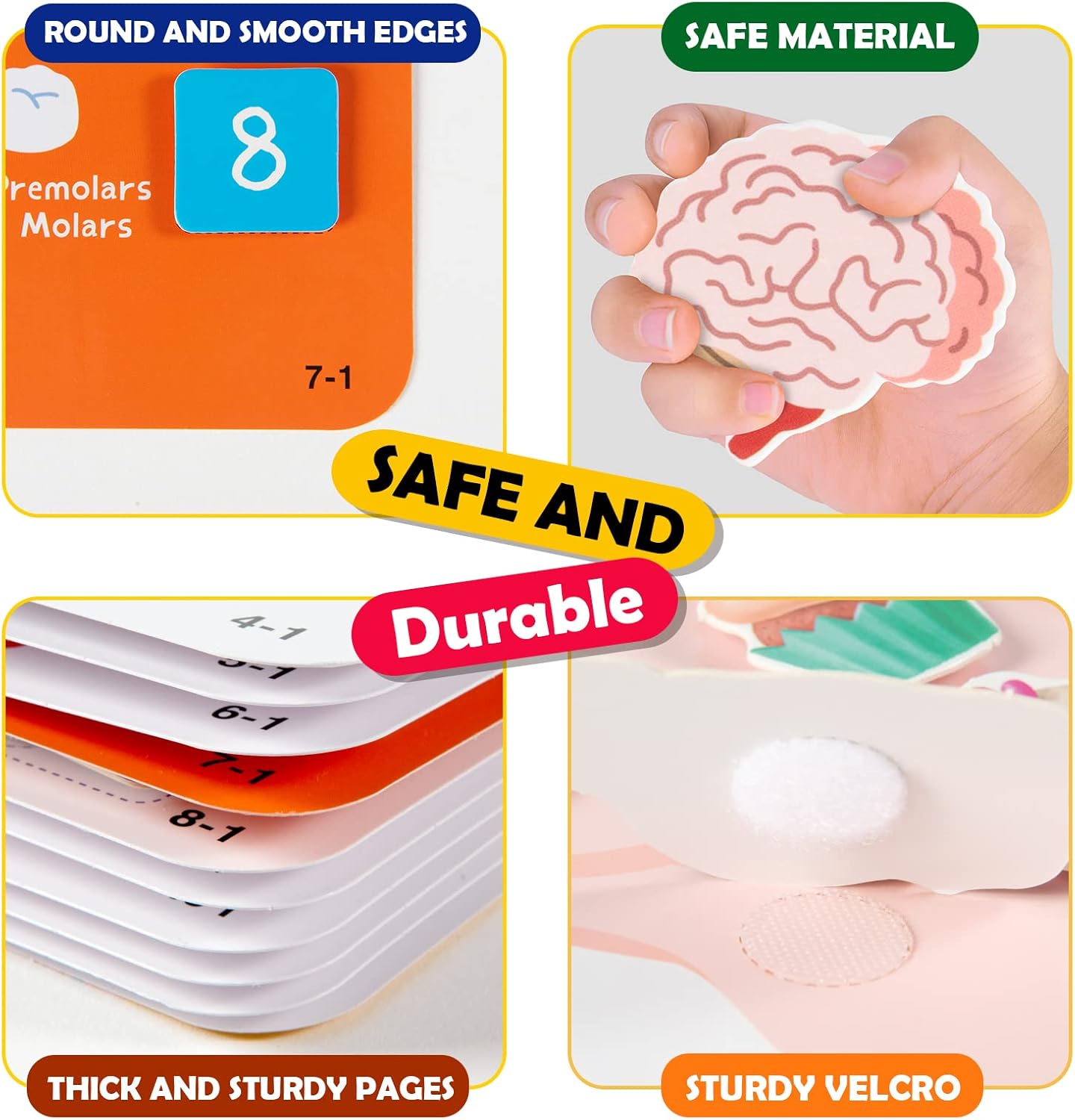 Thumbnail 6 de Freebear Montessori Busy Book: Human Body Anatomy for Kids