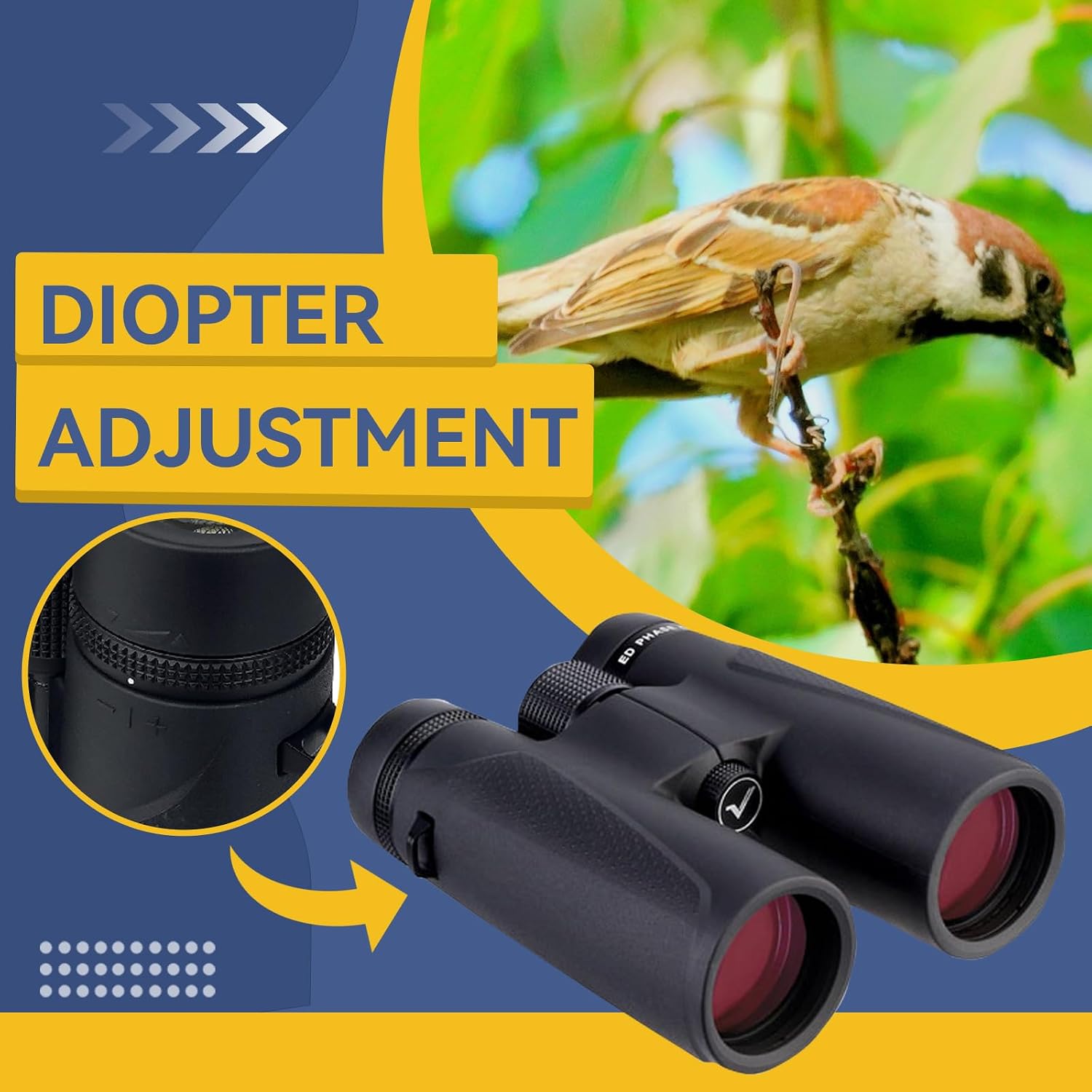 Thumbnail 6 de Svbony SV202 10x42 Binoculars Review: Solid Mid‑Range for Birdwatching and Wildlife