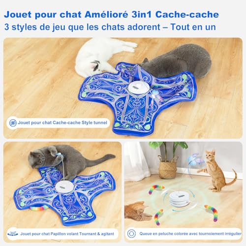 Detalle 2 de Qraxond Jouet Interactif pour Chats d'Intérieur – Nouvelle Version Améliorée