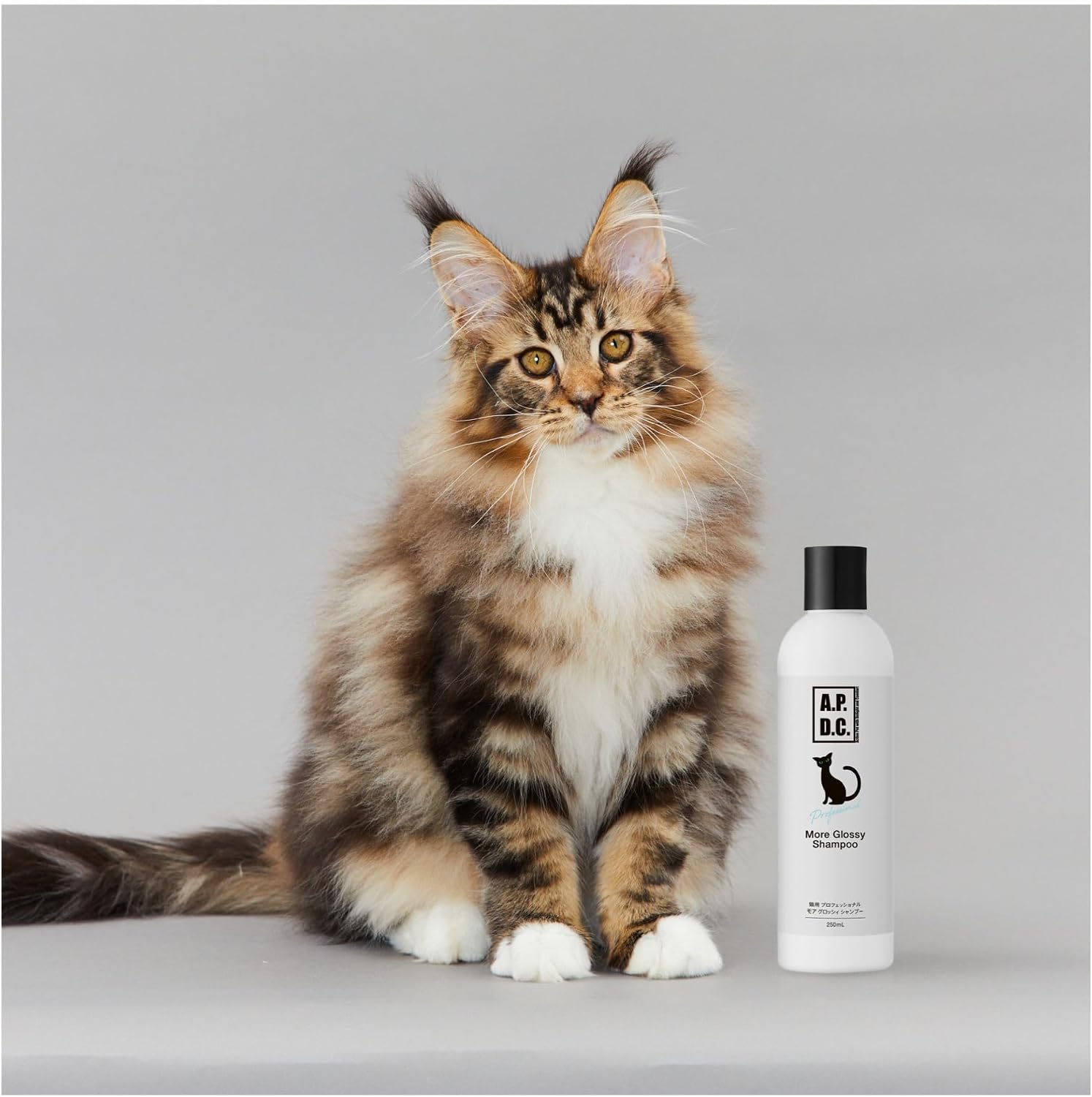 Detalle de A.P.D.C. モア グロッシィ シャンプー 猫用詰め替え 2L|長毛・静電気が気になる猫に