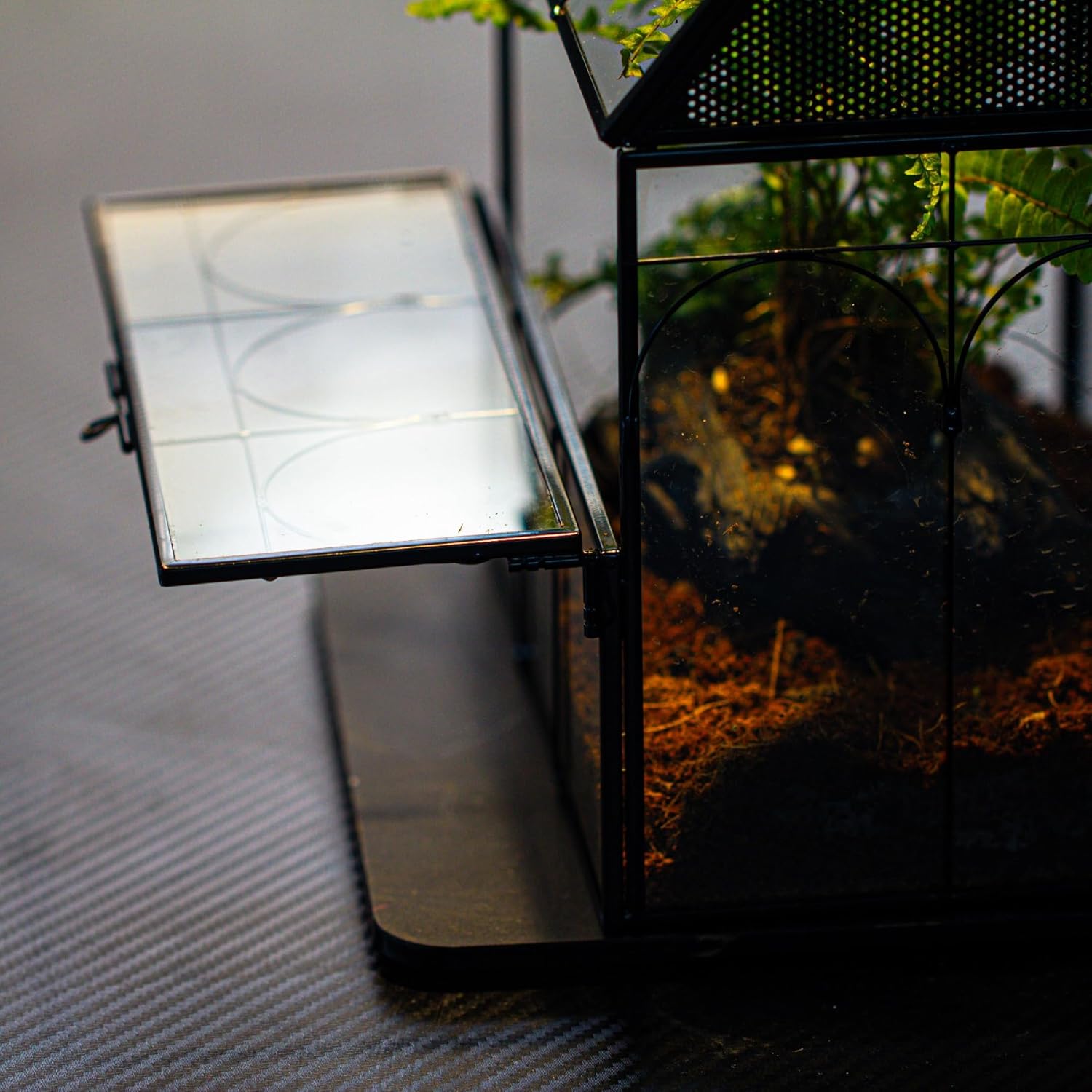 Thumbnail 5 de NCYP Glass House Terrarium 19×12.5×23 cm
