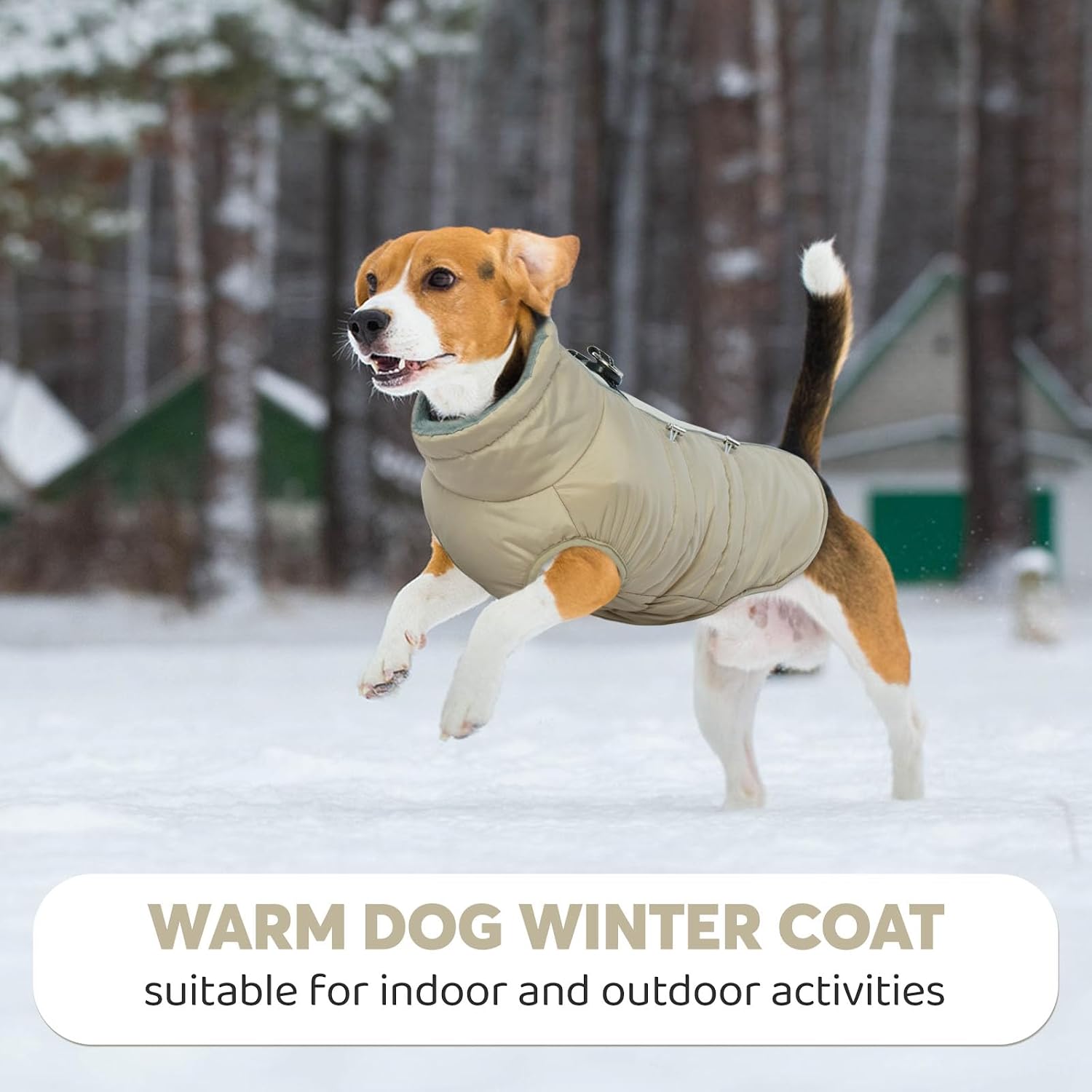 Thumbnail 6 de IDOMIK Dog Coat, Size M