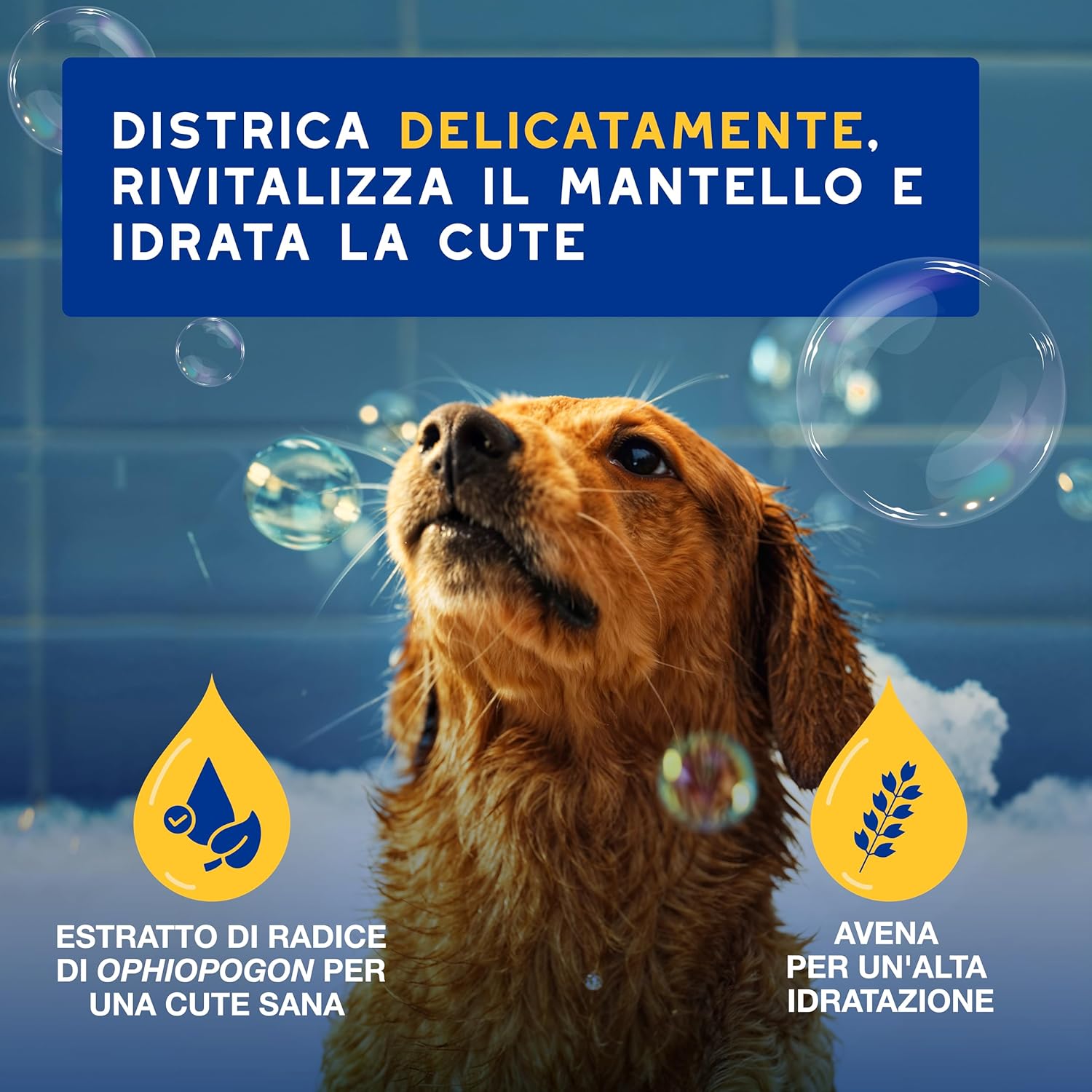 Detalle 2 de DOUXO Balsamo all'Avena 250ml
