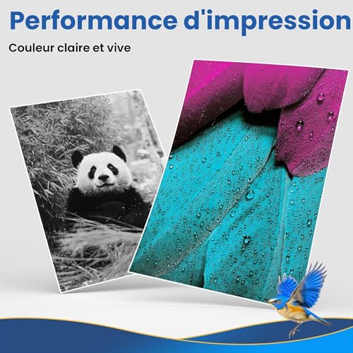 Thumbnail 4 de Cartouches d'encre compatibles Epson XP 2200 – Jhaan, lot de 10