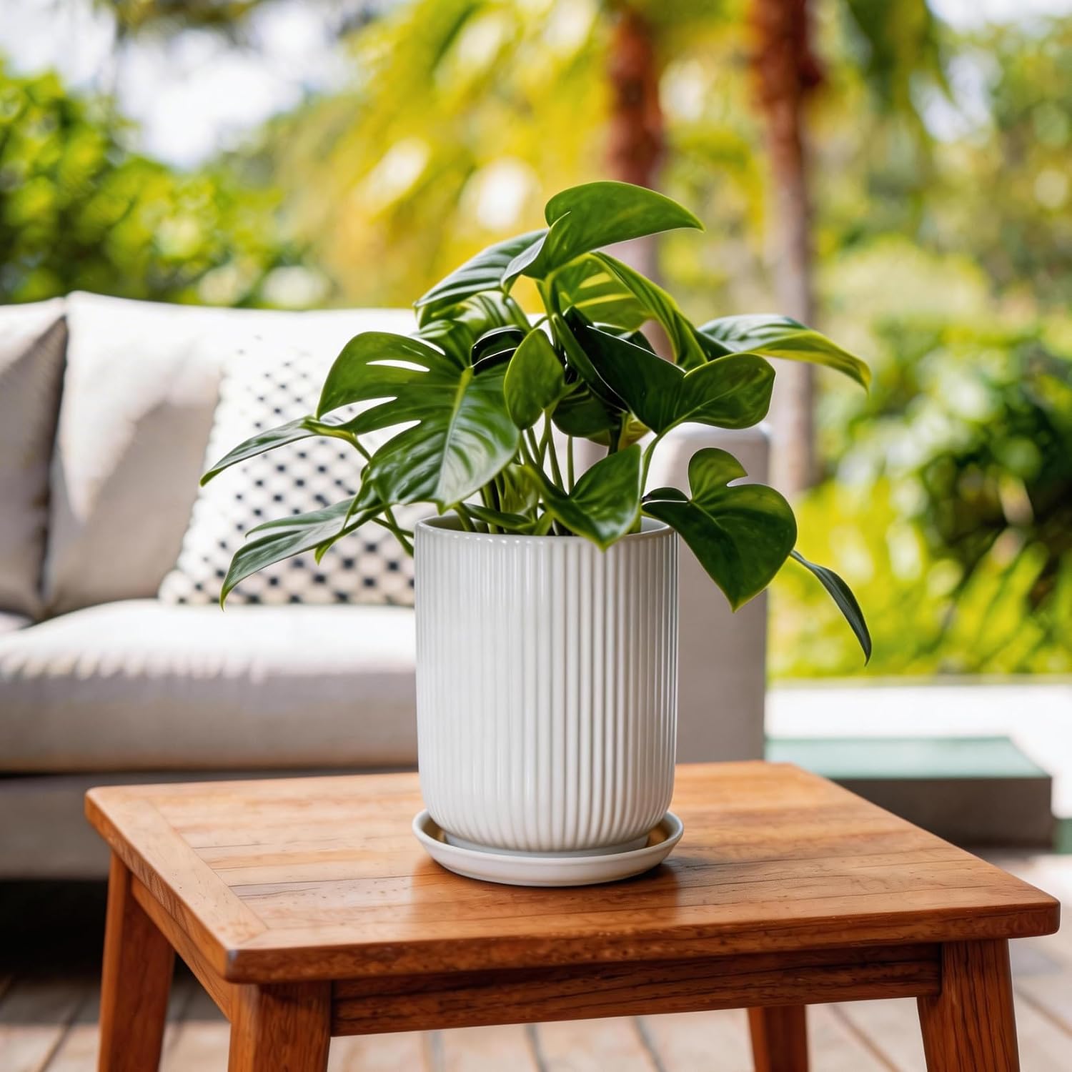 Detalle de Deep Dream STW-8in-Planters-White 8-Inch Ceramic Planter with Drainage and Saucer