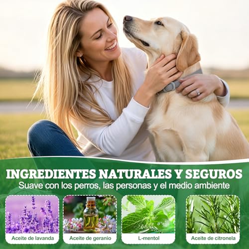 Detalle de BoYata Collar Antiparasitario para Perros 2 Unidades – Protección jusqu 12 Meses con Aceites Naturales