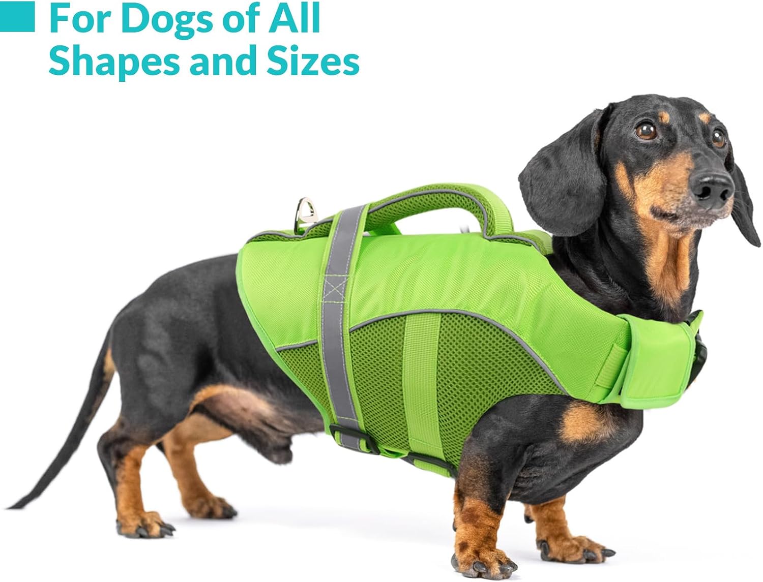 Detalle de Queenmore Dog Life Jacket XXL