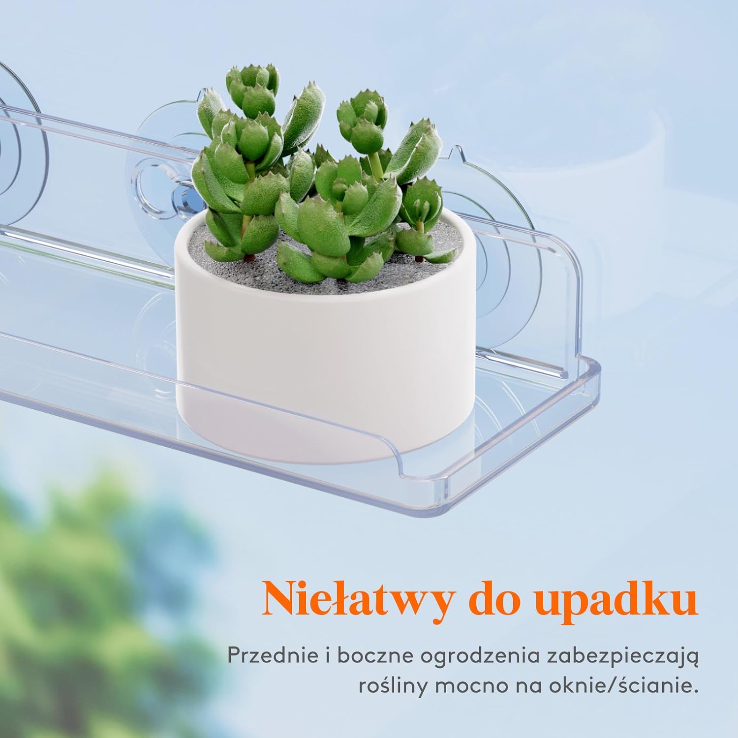 Detalle de Lifewit 24126 – przezroczysta półka okienna na rośliny 15 cali z przyssawkami
