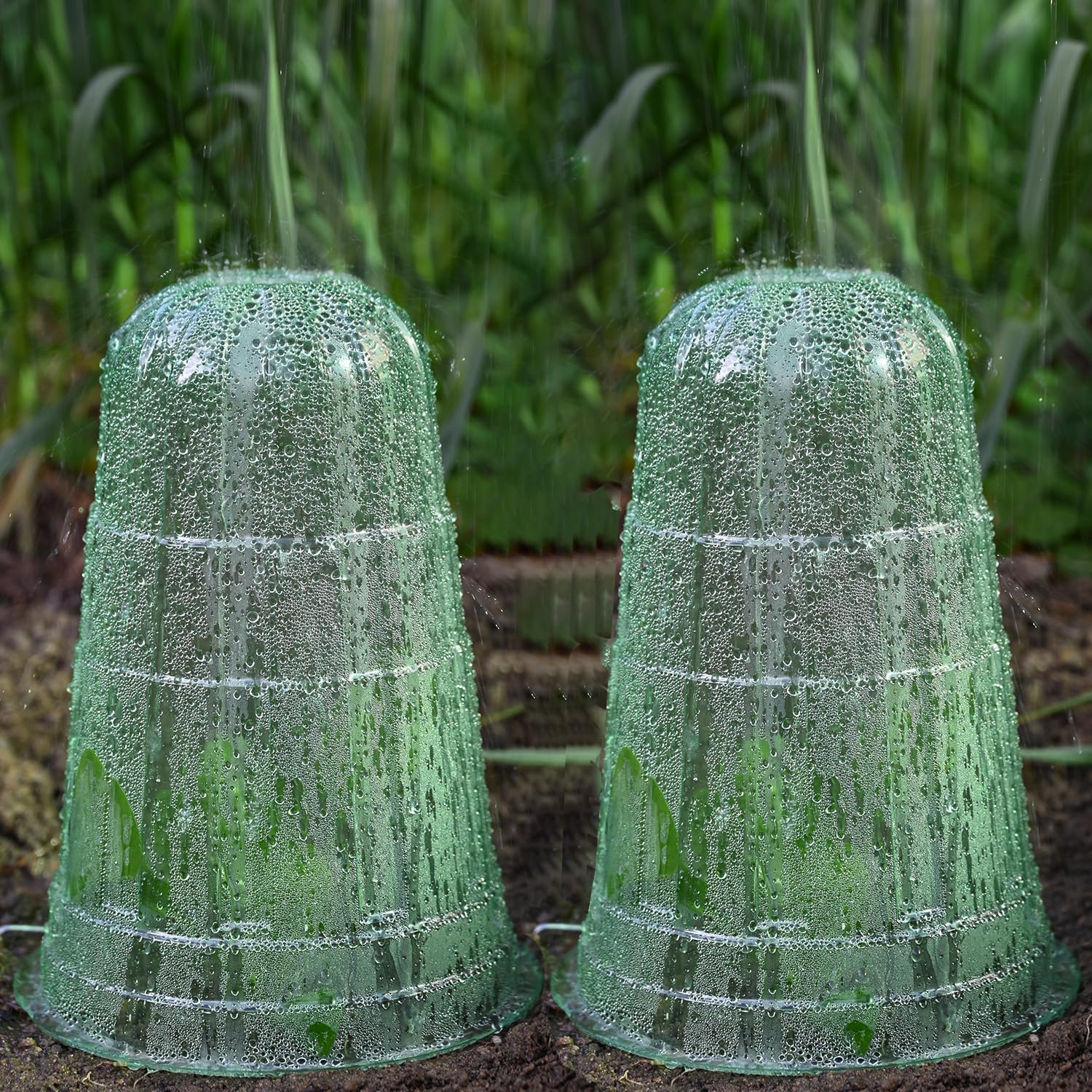 Thumbnail 3 de Emyimom Pflanzenhut (Pflanzhütchen) für Salatpflanzen – Schutz vor Vögeln, Schnecken und Wetter, 10er-Set