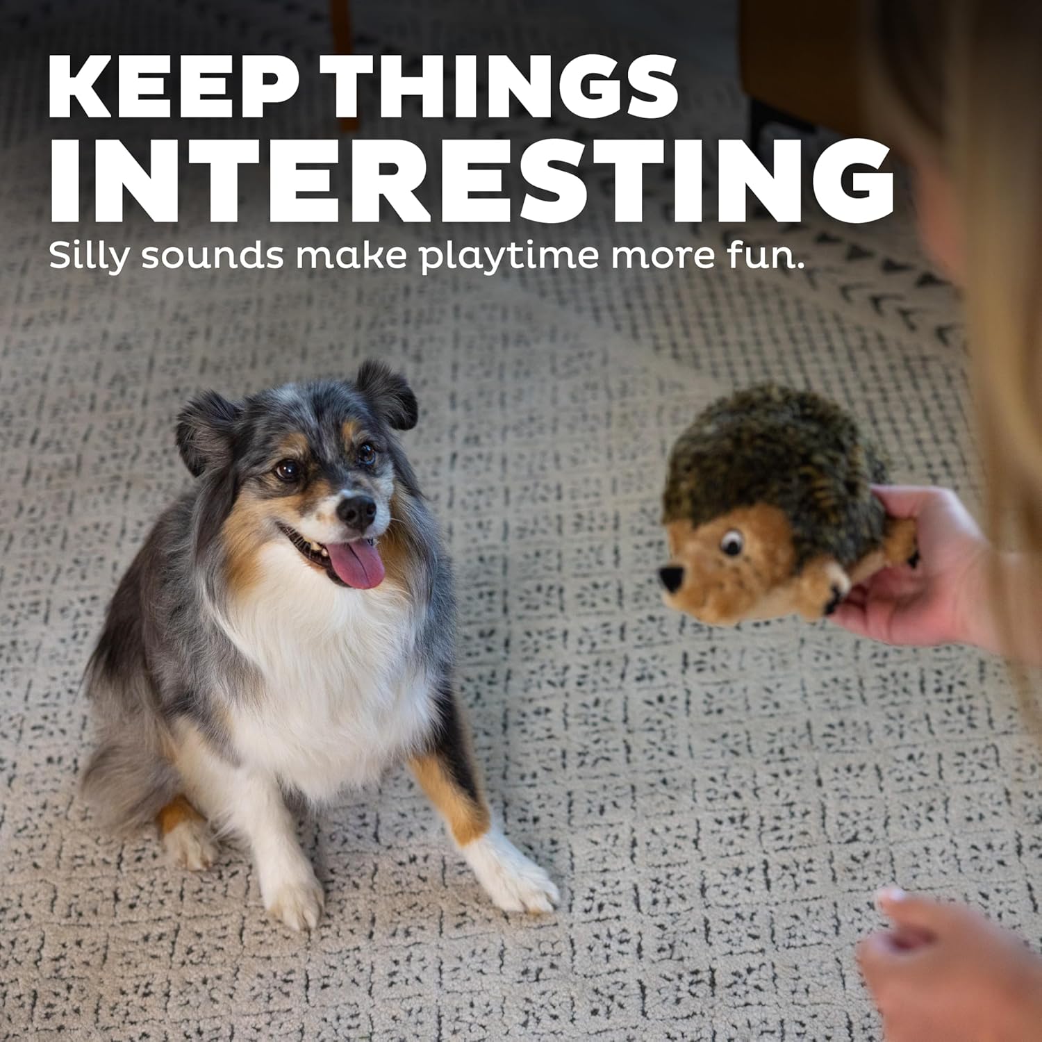 Detalle de Outward Hound Hedgehogz Plush Dog Toy, Medium