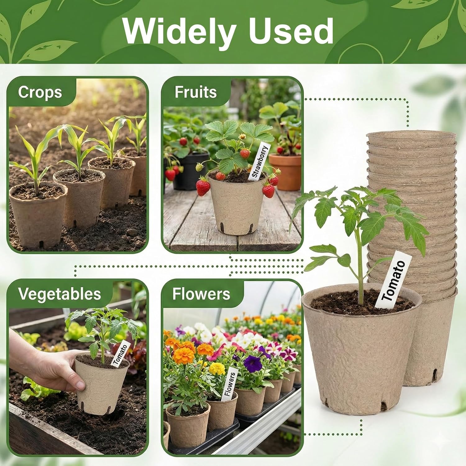 Thumbnail 6 de Peat Pots Seedling Trays with 24 Labels