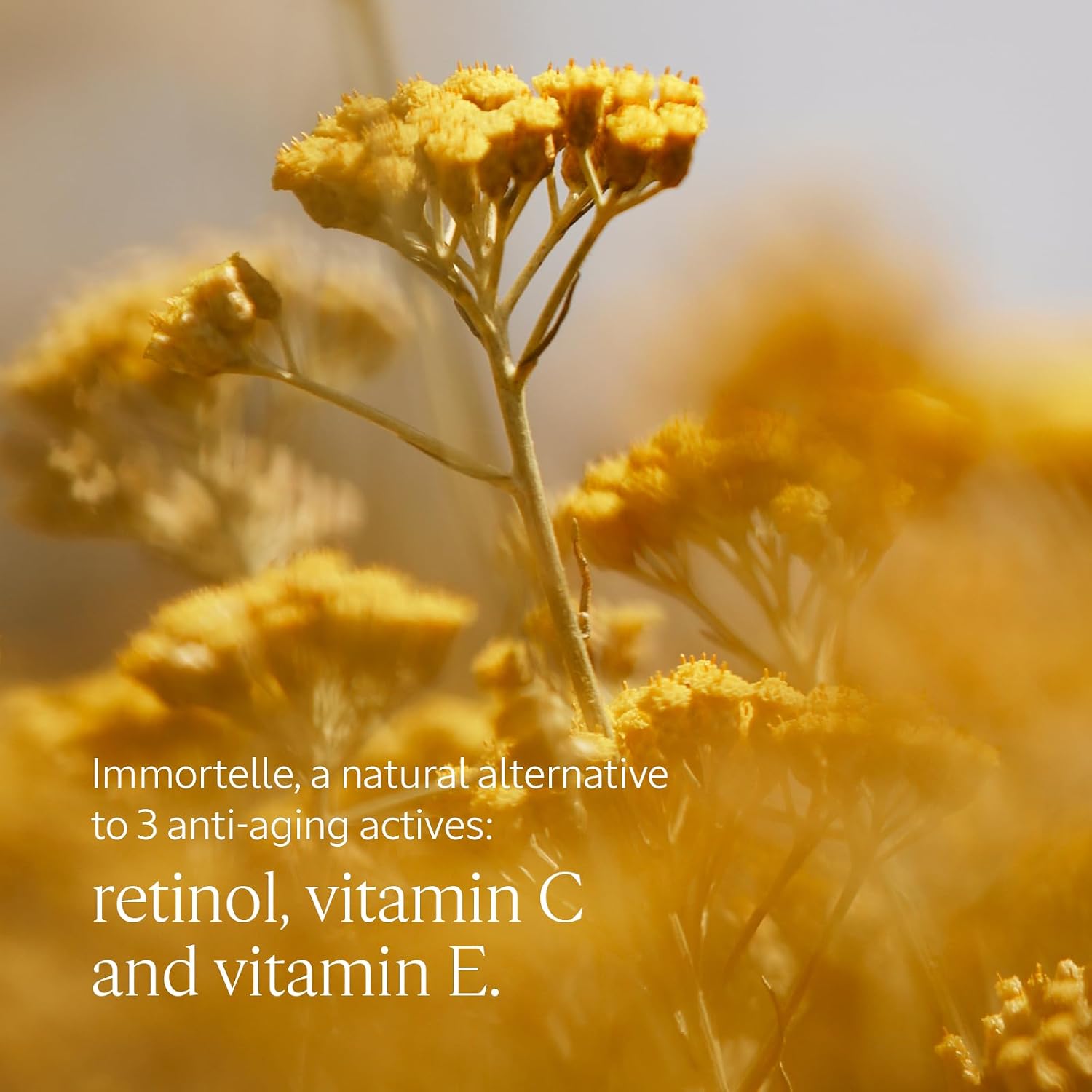 Detalle 2 de L’Occitane Immortelle Reset Serum (Night) 30 ml – anti-ageing, hydrating & soothing