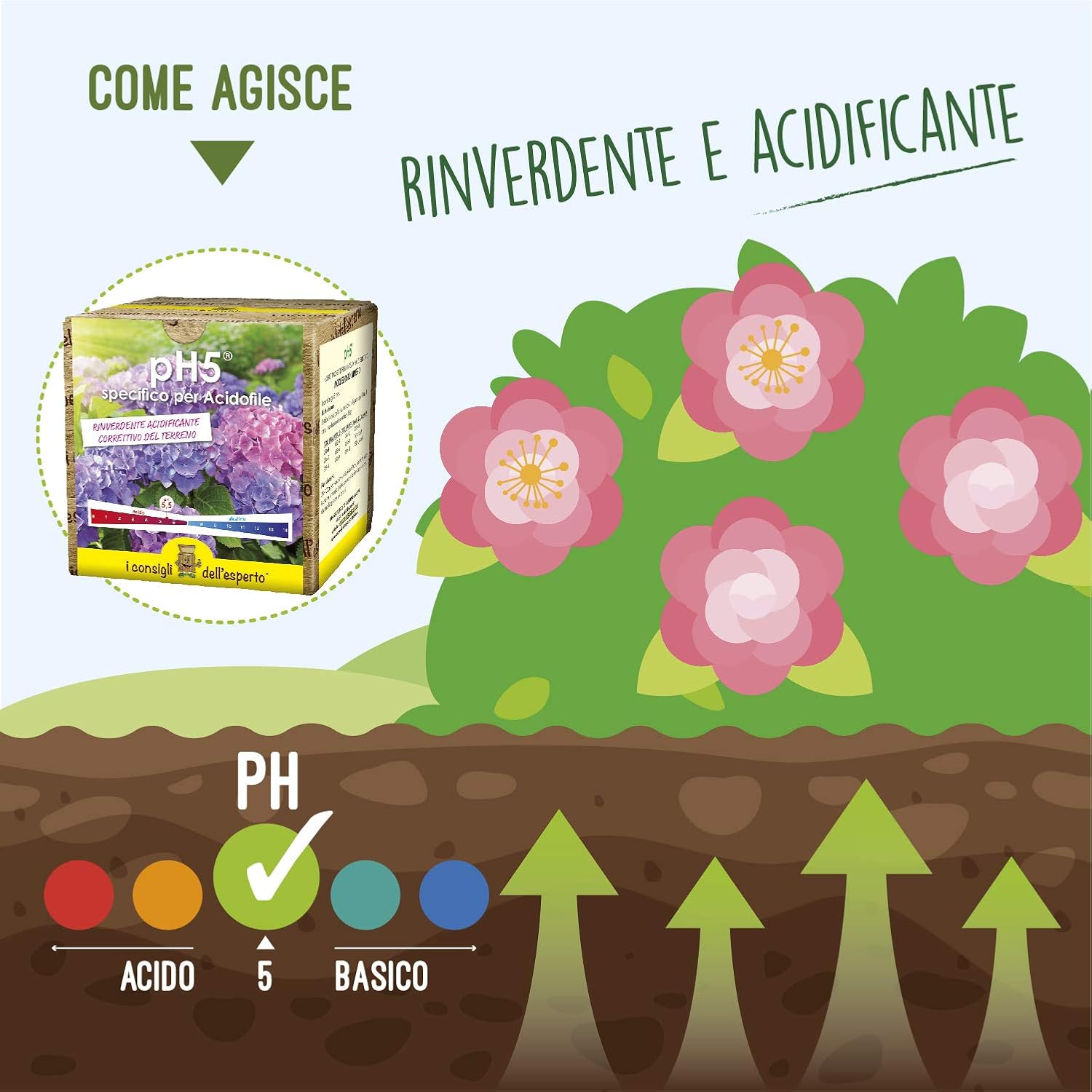 Thumbnail 3 de PH5 Correttivo Terreno a Base di Zolfo 50% Rinverdente, 0,7 kg – I Consigli dell'Esperto