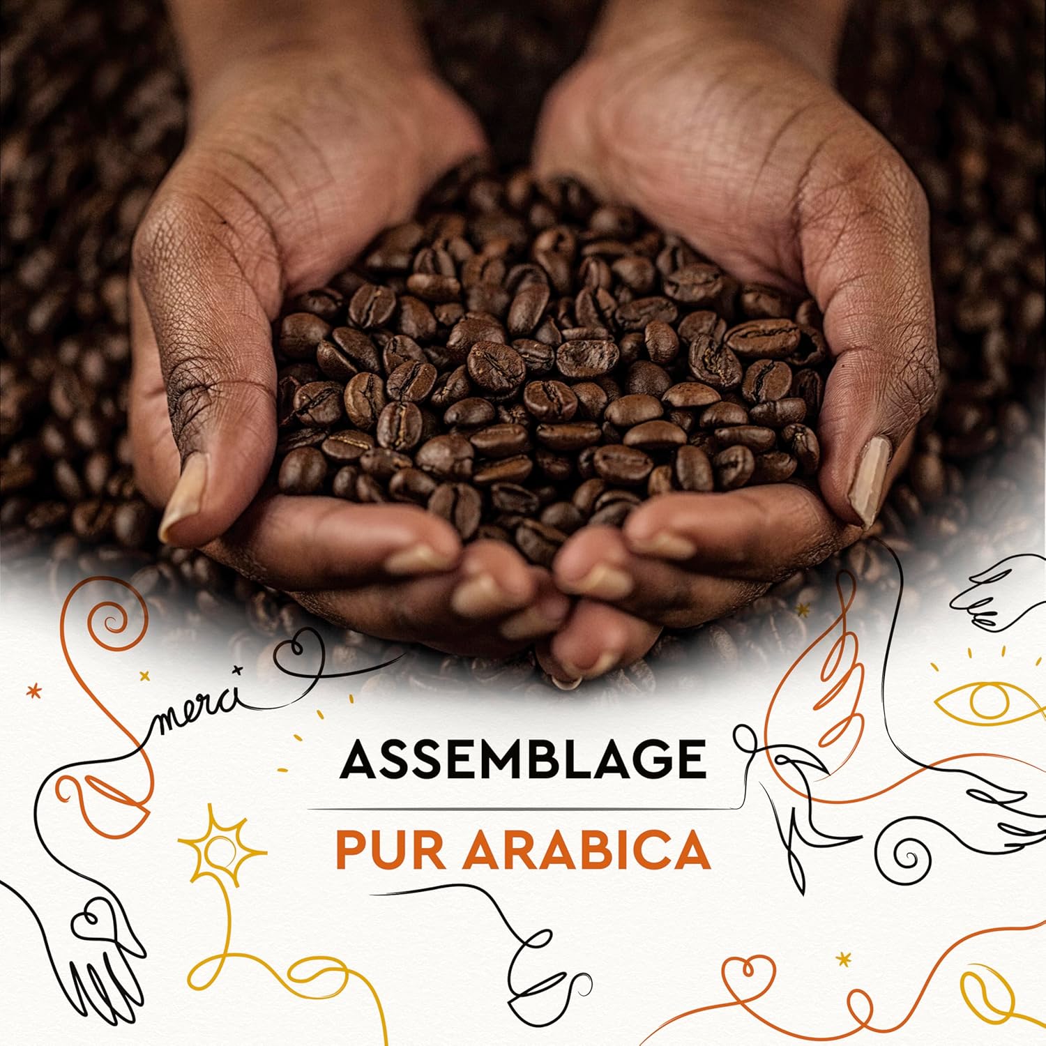 Detalle de CARTE NOIRE Grains Solidaires Intensité 7 – 500 g, 100% Arabica et Rainforest Alliance