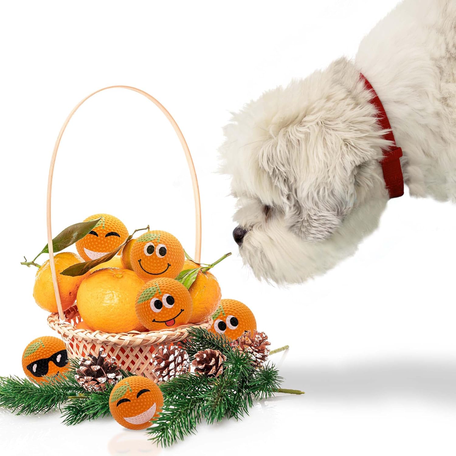 Thumbnail 6 de SPORTSPET High Bounce Natural Rubber Dog Balls (6 Pack, 60mm)