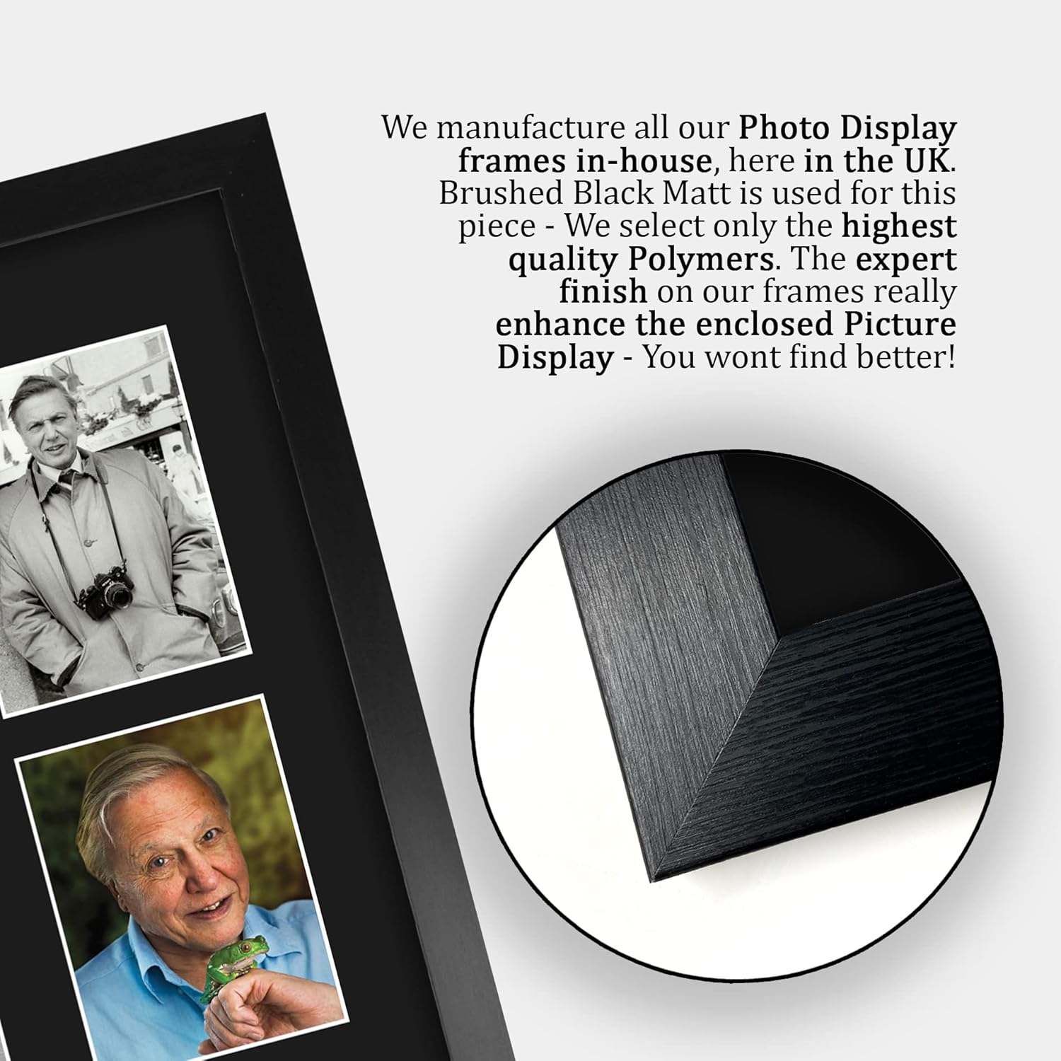 Thumbnail 5 de HWC Trading Sir David Attenborough FR A3 framed printed & signed autograph picture (330x445mm)