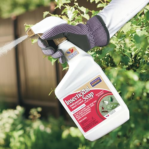Detalle de Bonide Insecticidal Soap, 32 oz Ready-to-Use Spray for Organic Gardening