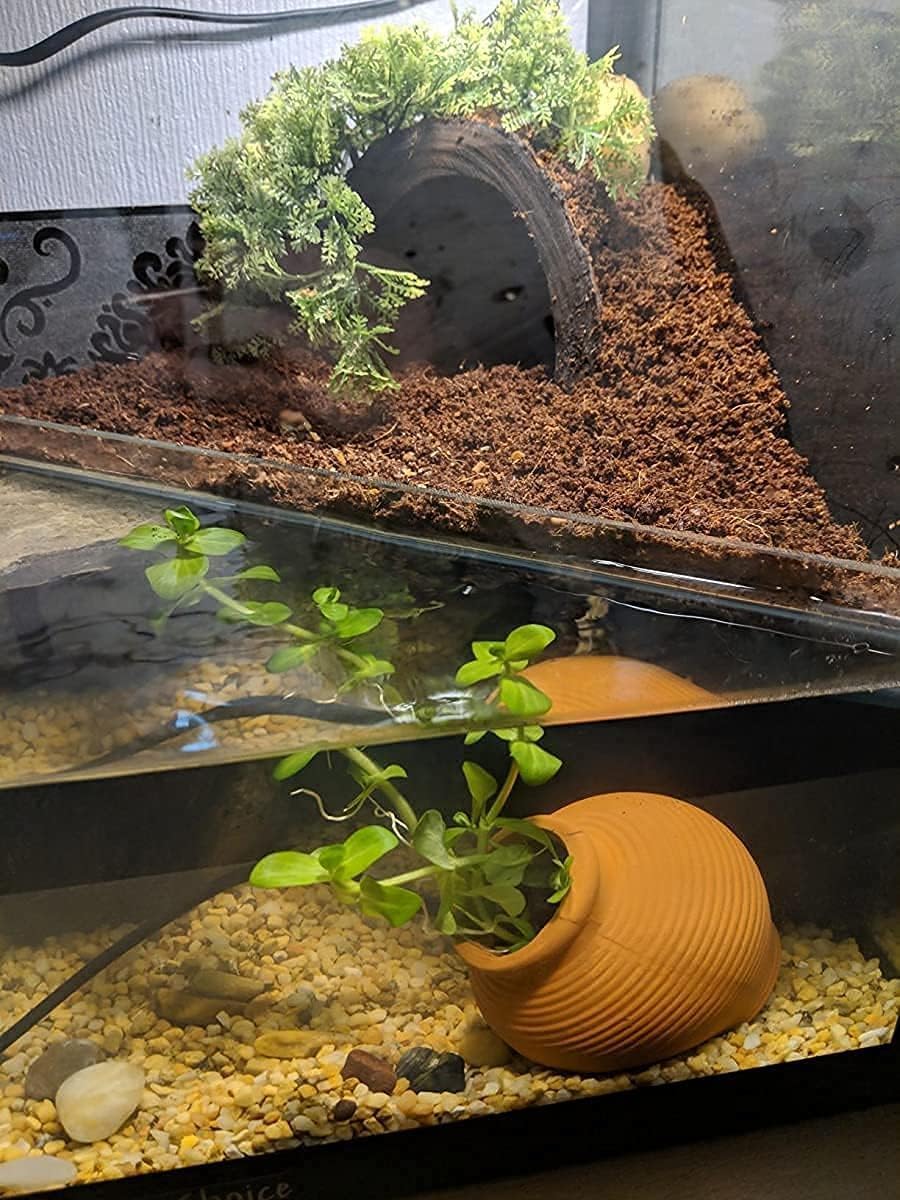 Detalle 2 de Uotyle Ceramic Betta Breeding Cave — Small Aquarium Hideout for Betta, Shrimp, and More