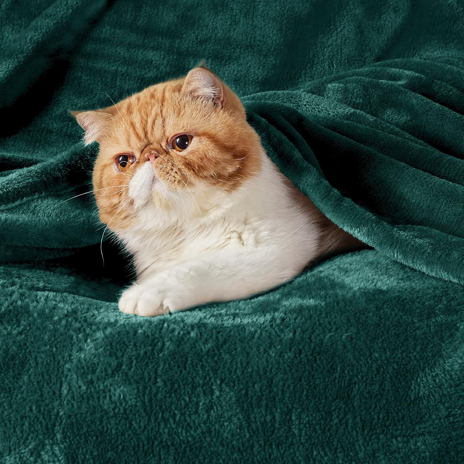 Thumbnail 1 de Bedsure Fleece Throw Blanket for Sofa – Forest Green 130x150 cm