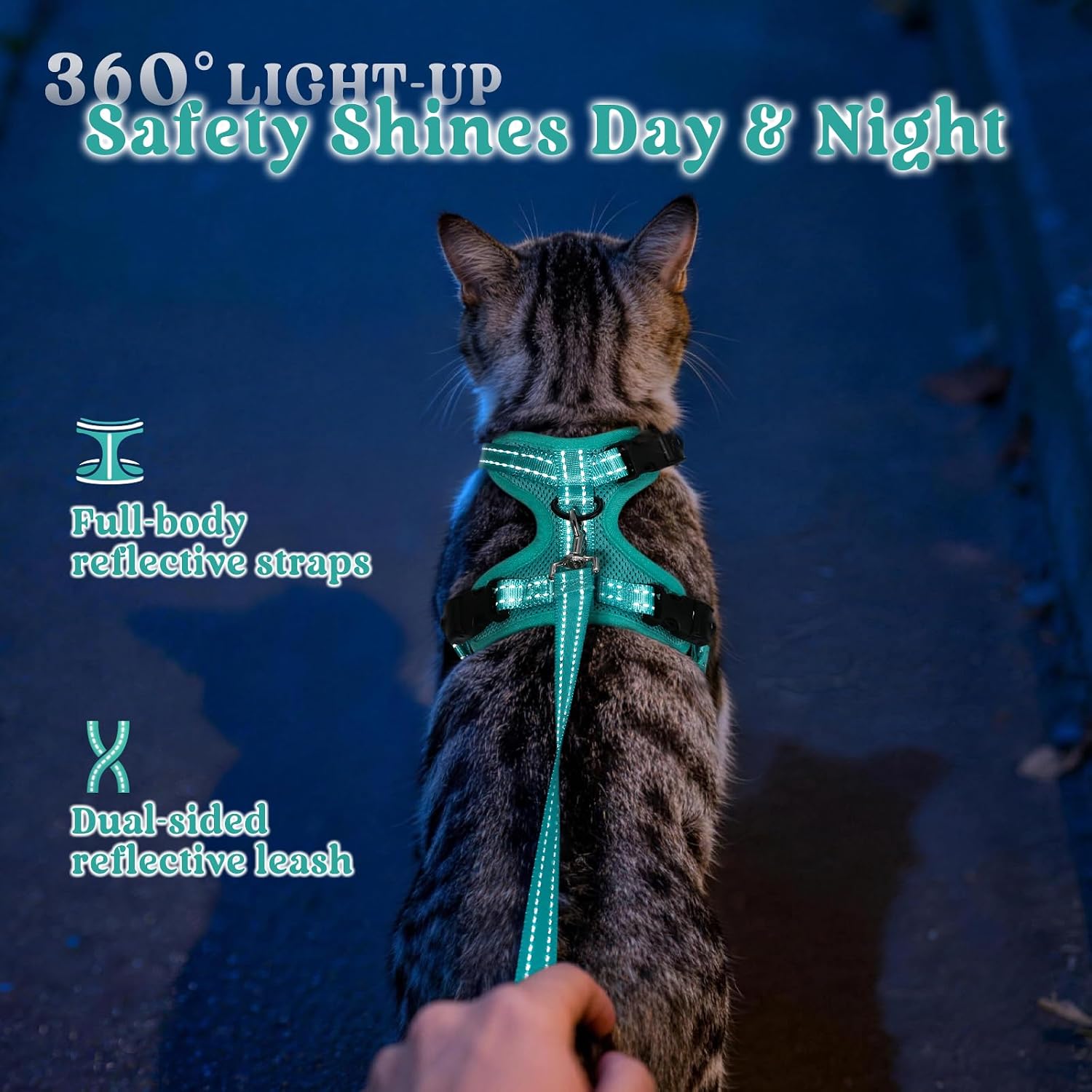Thumbnail 6 de Rabbitgoo Cat Harness and Lead Set (M) – Escape-Proof, Reflective, Adjustable for Medium-Large Cats