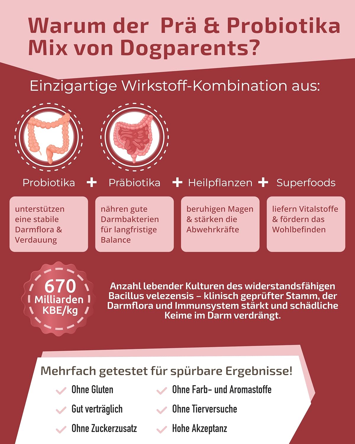 Thumbnail 3 de DOGPARENTS Prä & Probiotika Hund 670 Mrd. KBE