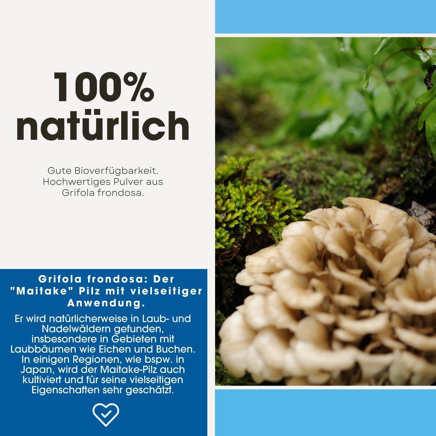 Detalle de Fair & Pure Maitake 650mg – 120 Kapseln, Grifola frondosa, vegan, in Deutschland hergestellt