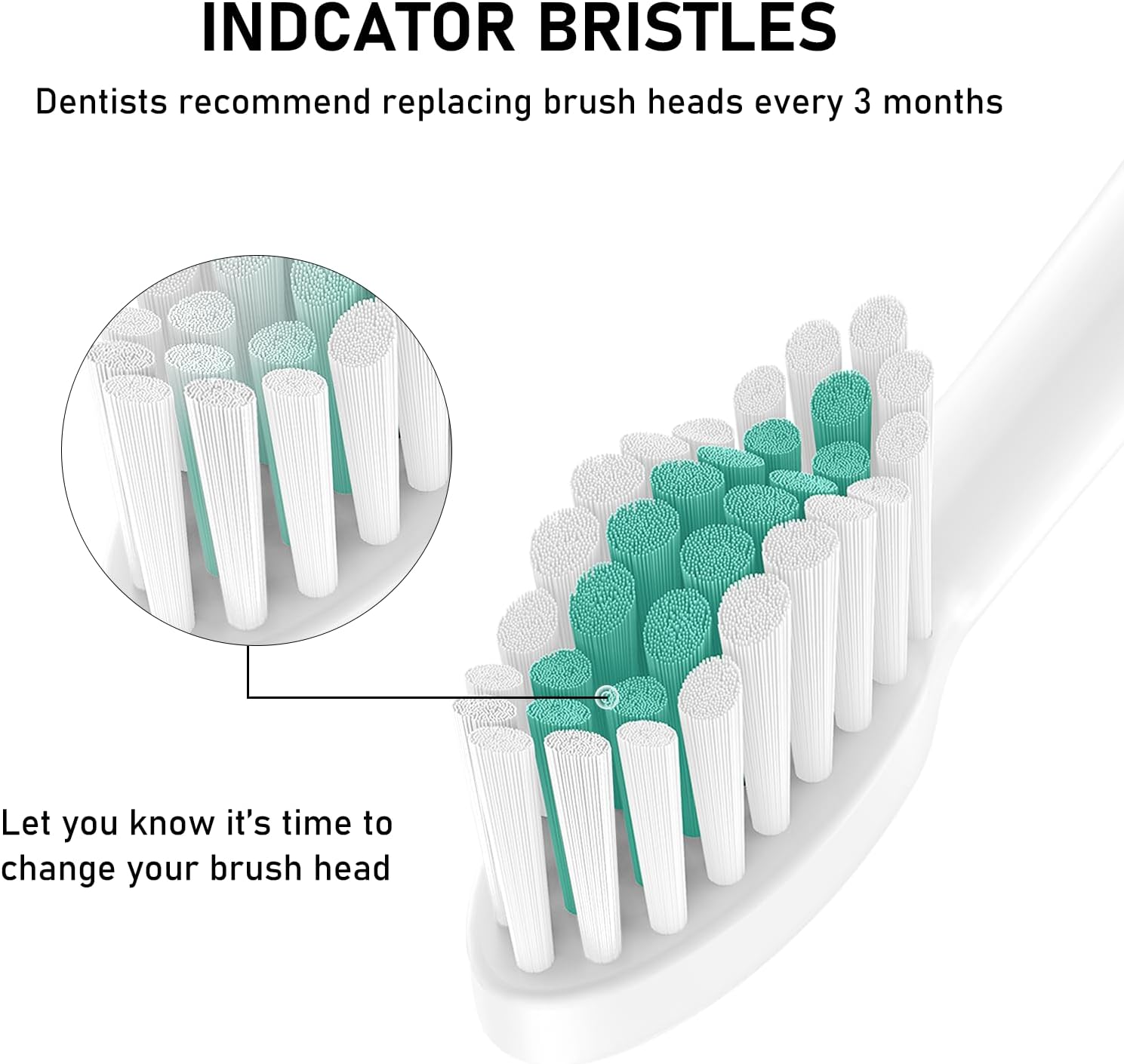 Detalle de ELFIN Sonicare Replacement Toothbrush Heads, 16-Pack