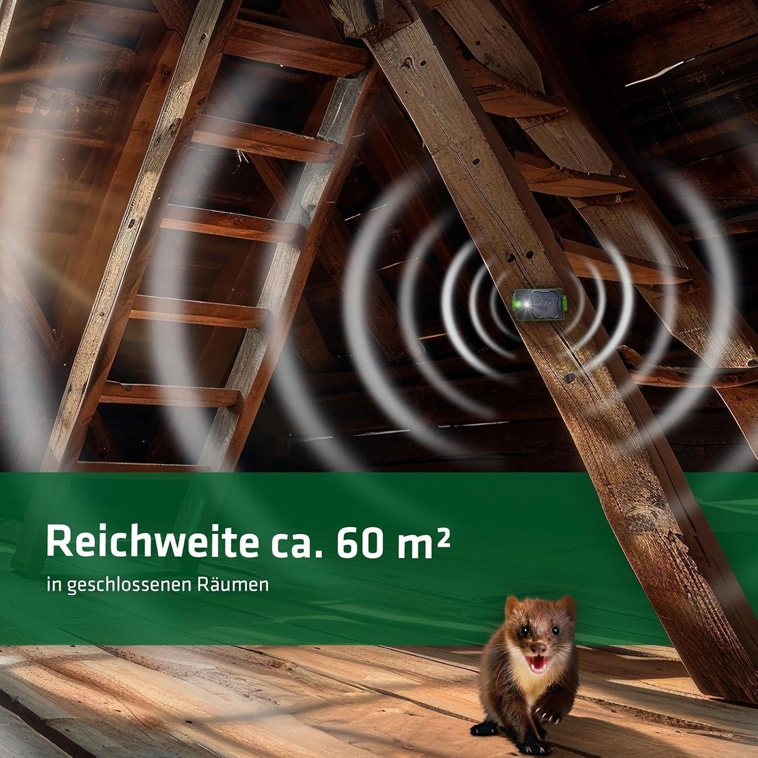 Thumbnail 3 de Gardigo Marderschreck Auto 12–24 kHz