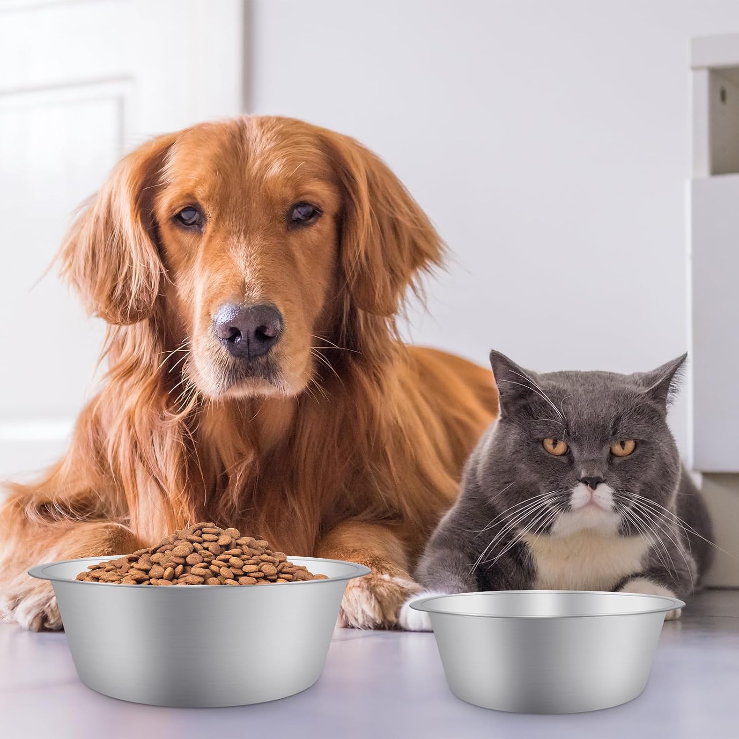 Thumbnail 6 de ELISABE Stainless Steel Dog Bowls 2 Pack — Non-Slip, 1560ml, Includes Collapsible Bowl