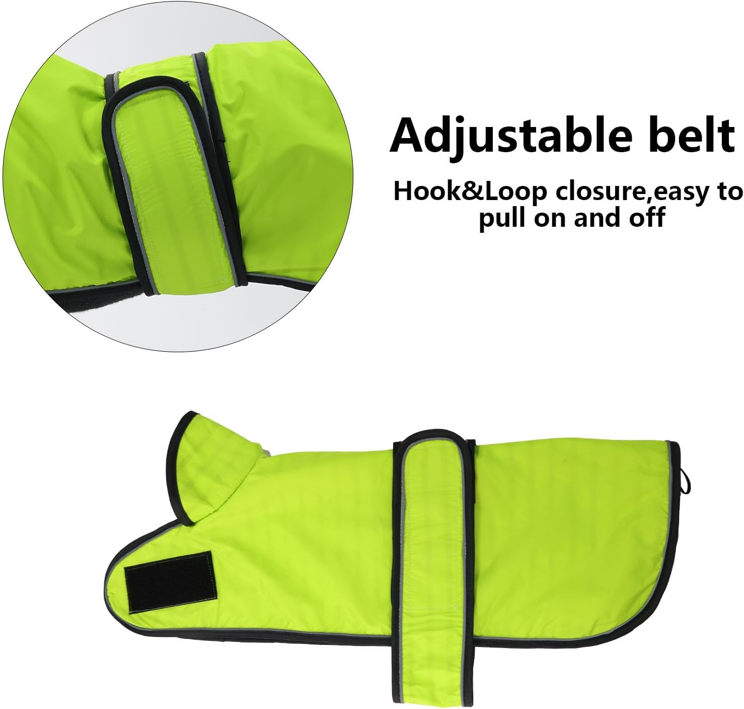 Thumbnail 4 de Morezi Dachshund raincoat (light green) with reflective stripe, waterproof fit for long-back breeds